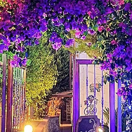 فندق Stone House