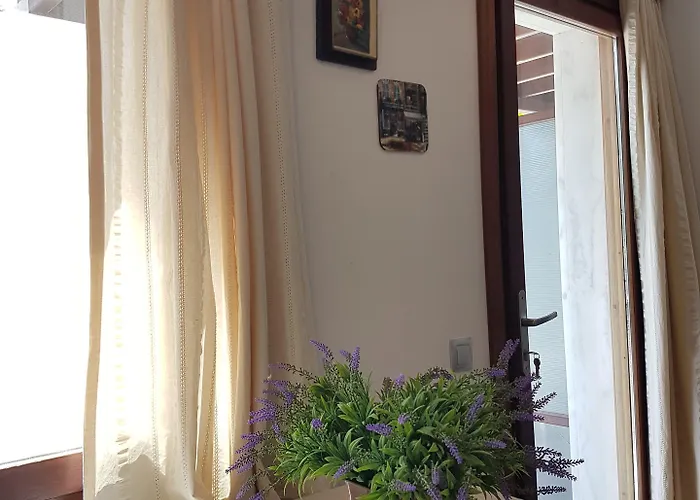 Stone House 酒店 博德鲁姆